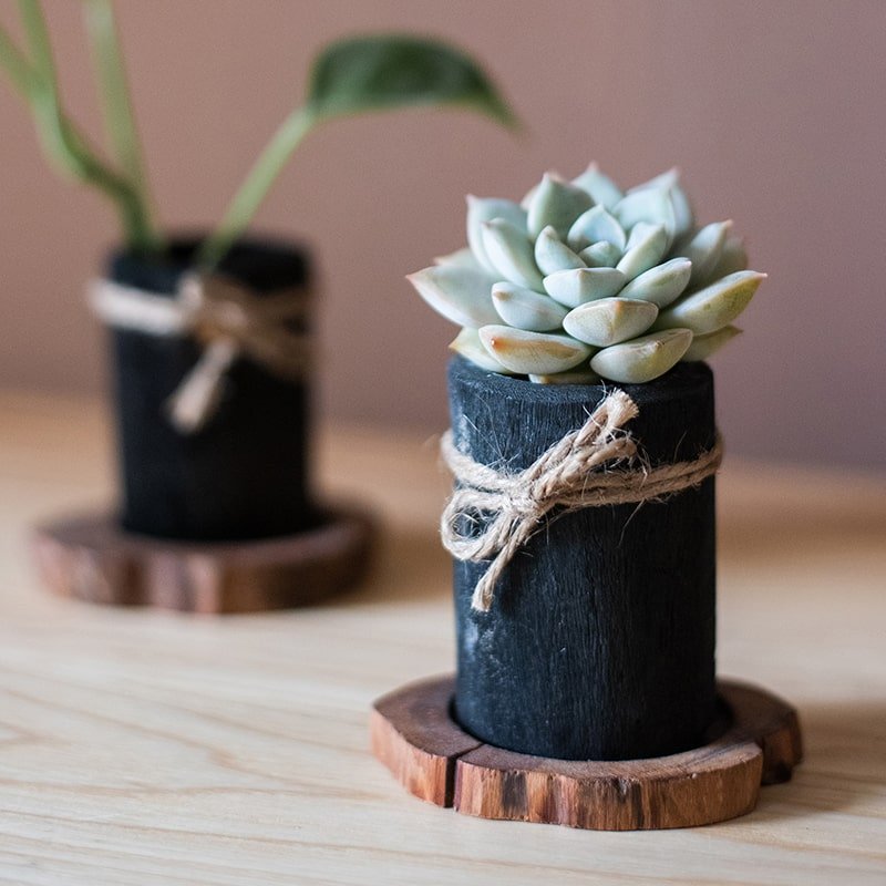 Desktop Charcoal Planter/Pen Holder with Wood Tray