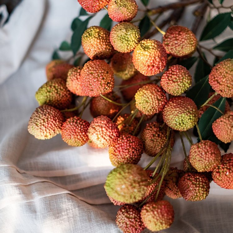 Artificial Fruit Lychee Stem - 27 inch