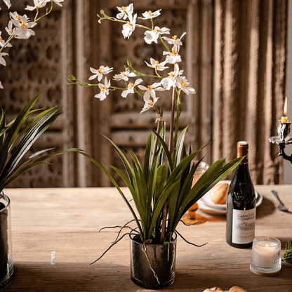White Hui Lan Orchid in Glass Pot