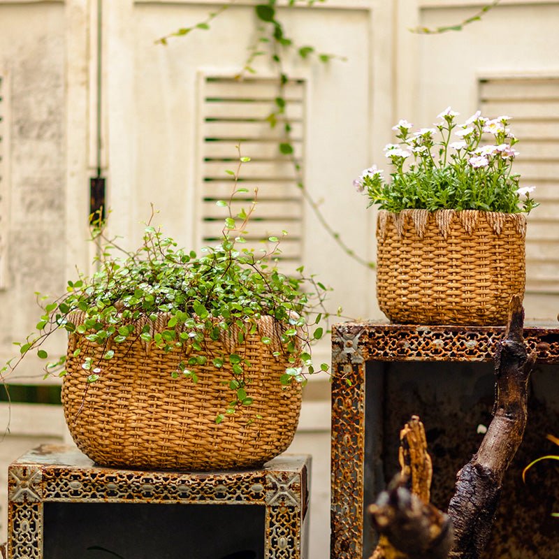 Lady Faux Straw Basket Cement Planters