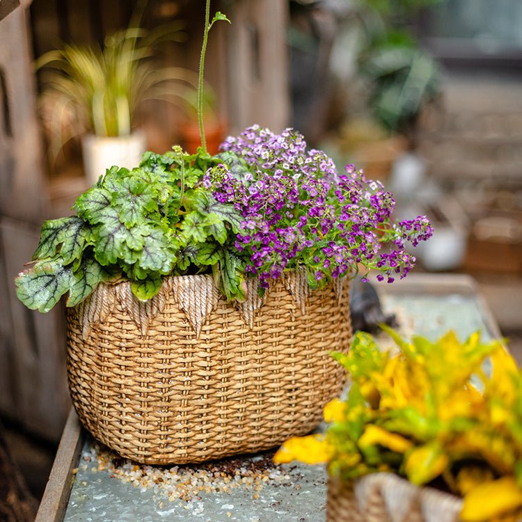 Lady Faux Straw Basket Cement Planters