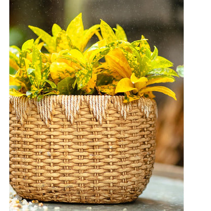 Lady Faux Straw Basket Cement Planters
