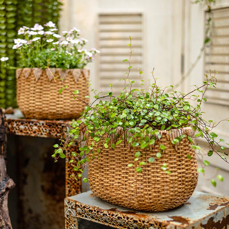 Lady Faux Straw Basket Cement Planters