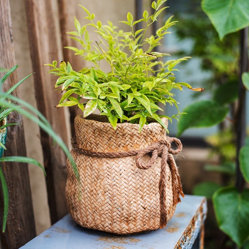 Ribbon Bag Style Concrete Garden Pots