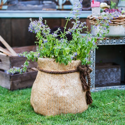 Ribbon Bag Style Concrete Garden Pots