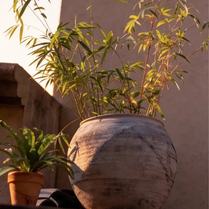 Sierra Round Clay Pot Planters