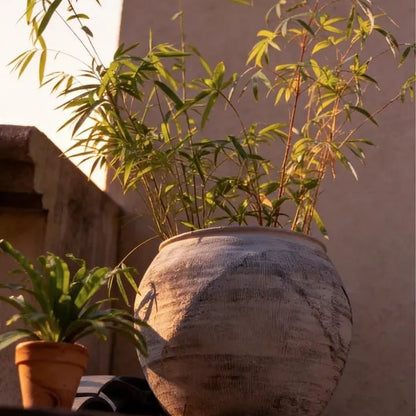 Sierra Round Clay Pot Planters
