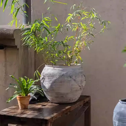 Sierra Round Clay Pot Planters