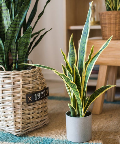 Potted Faux Artificial Yellow Edged Leaf Snake Plant