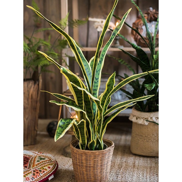Potted Faux Artificial Yellow Edged Leaf Snake Plant