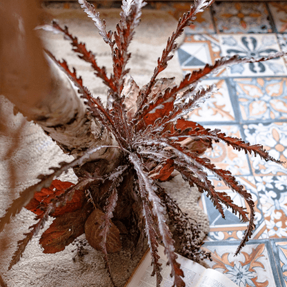 Artificial Spider Brake Fern Stem in Brown -43 inch
