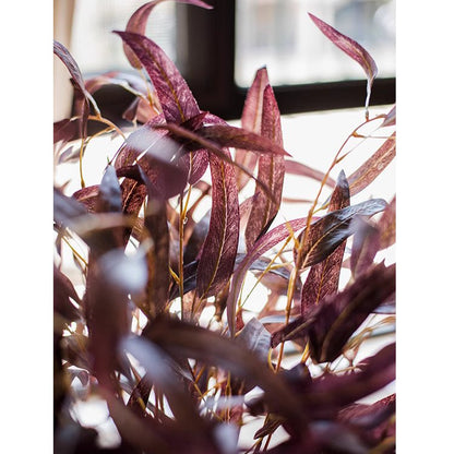 Whispers of Autumn Eucalyptus Stem 33" Tall