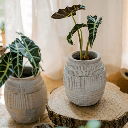 Yukun Terracotta Planter Stoneware