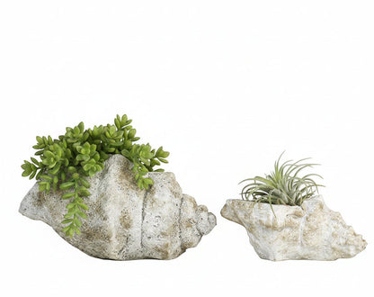 Cast Concrete Conch Shell Planter | 2 Sizes