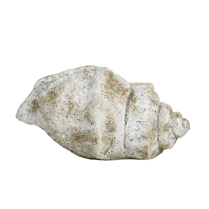 Cast Concrete Conch Shell Planter | 2 Sizes