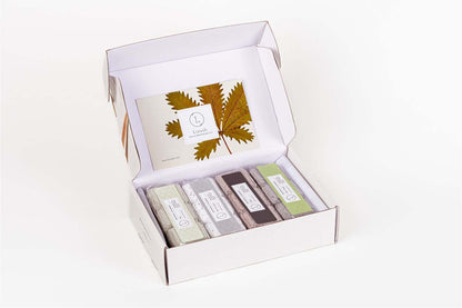 Refreshing Shower Steamer Gift Box - Set of 12