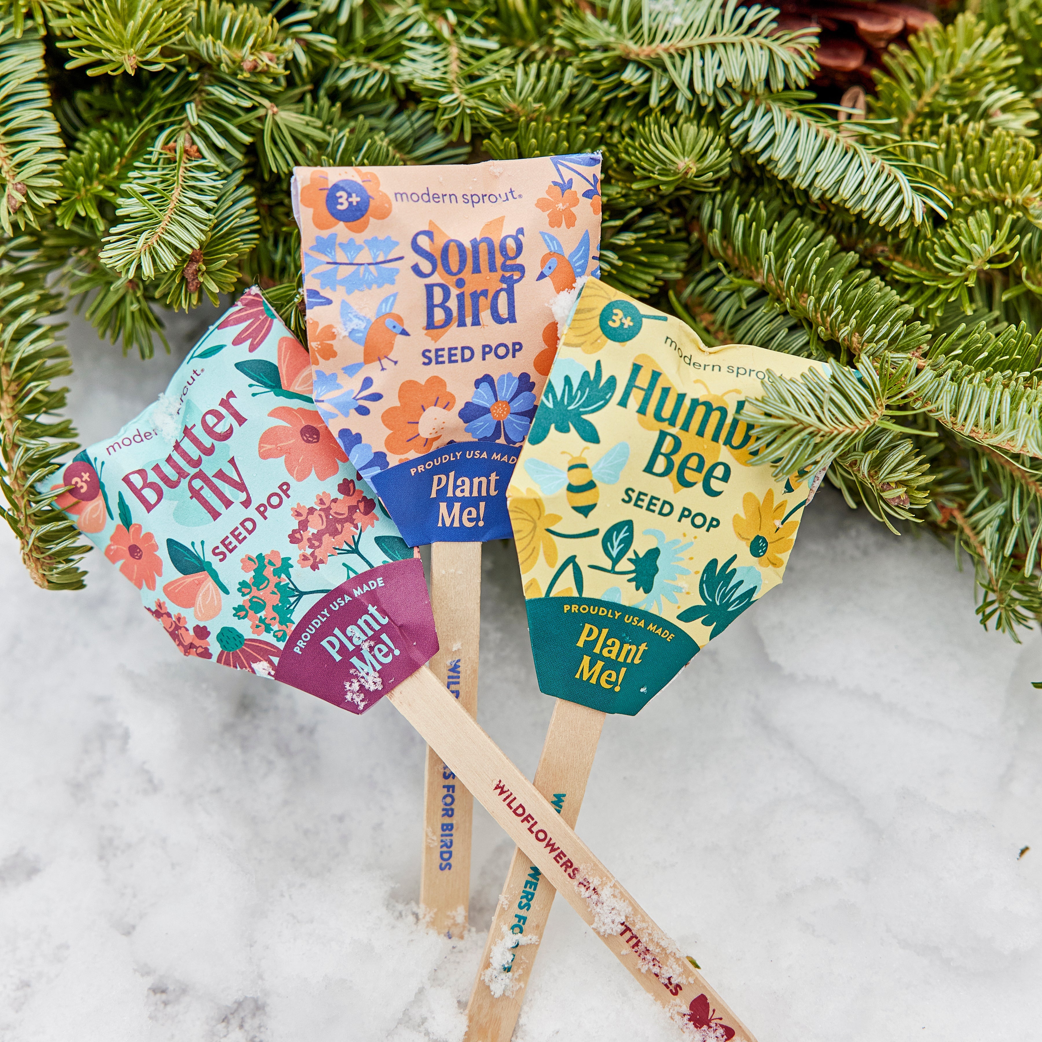 Seed Pops - Pollinator