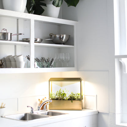 Smart Growhouse