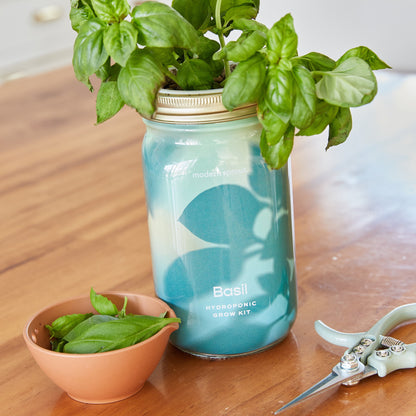 Organic Herb Jars