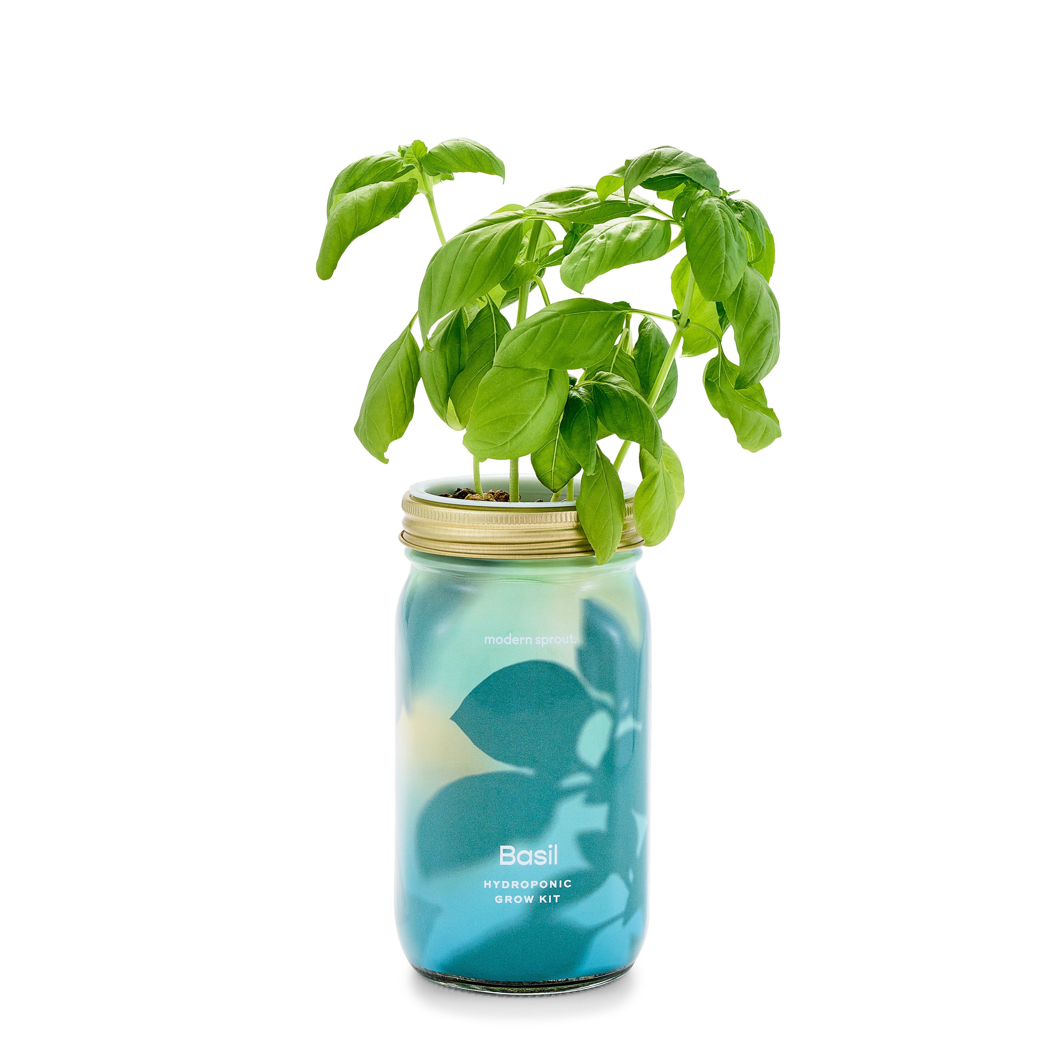 Organic Herb Jars