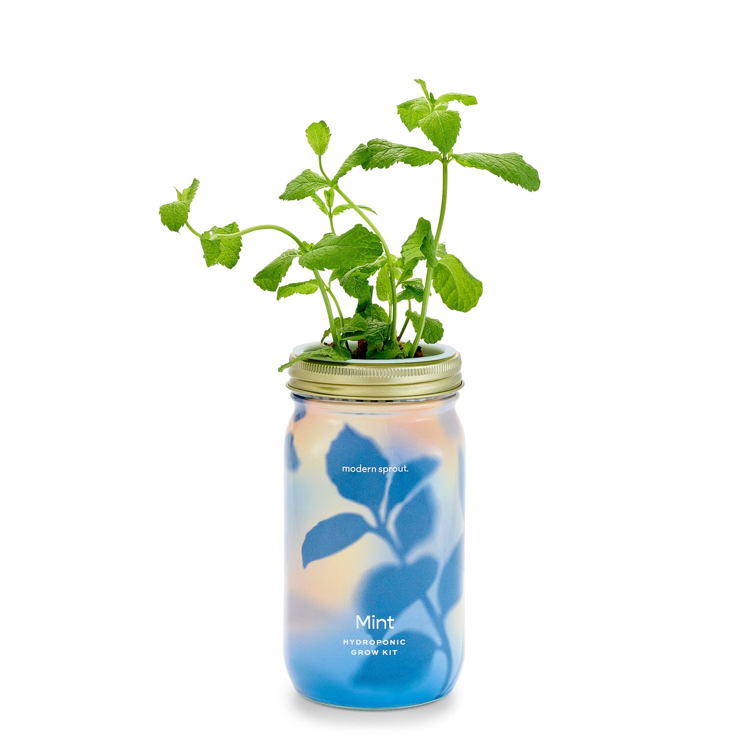 Organic Herb Jars