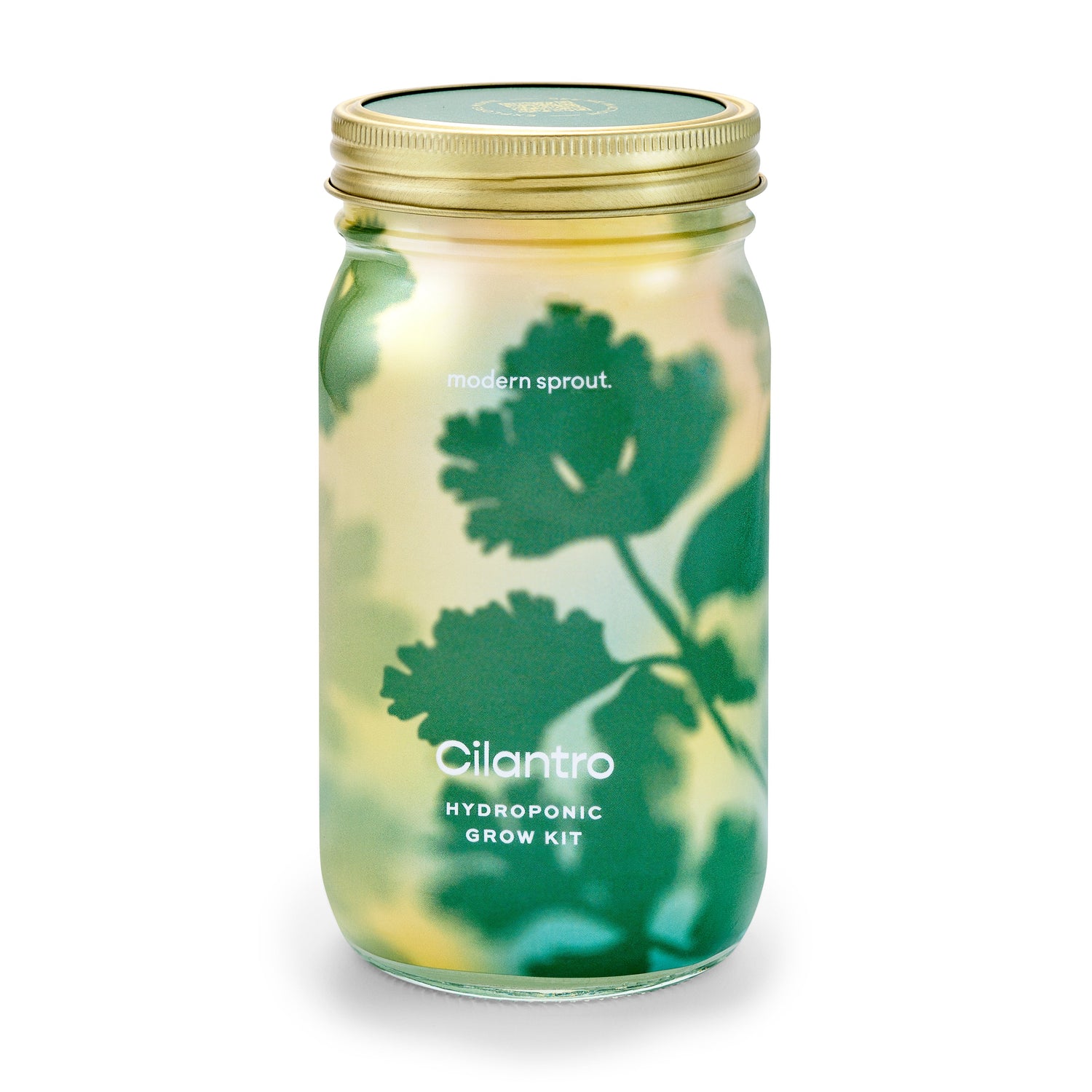Organic Herb Jars