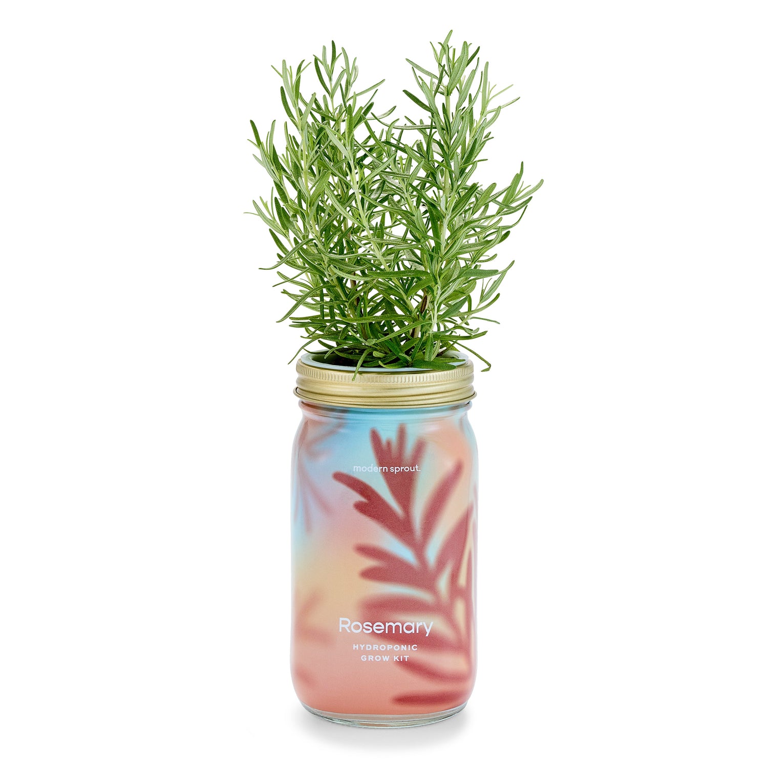 Organic Herb Jars