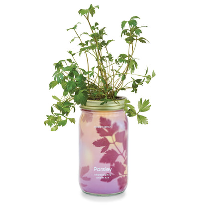 Organic Herb Jars