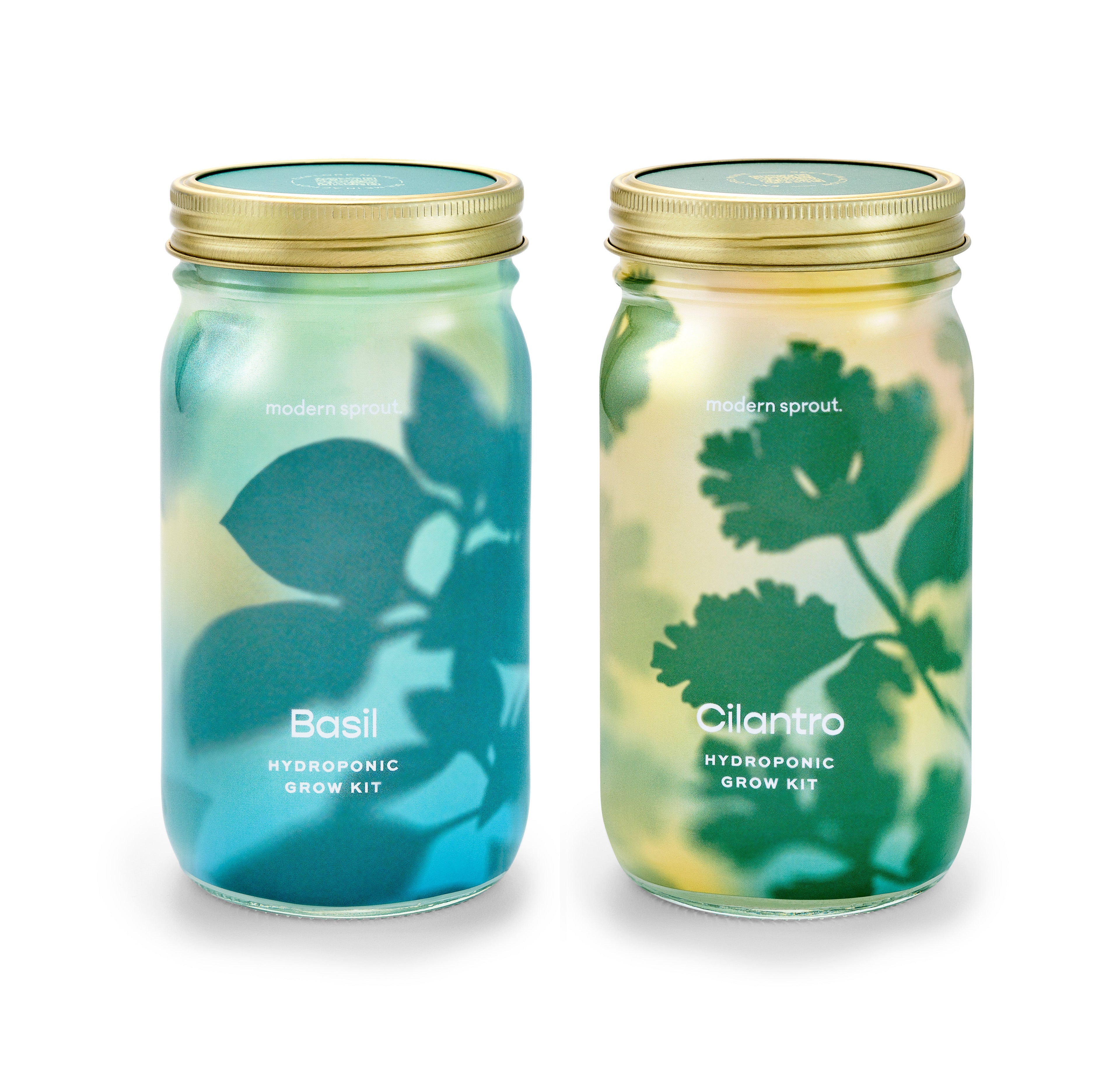 Organic Herb Jars
