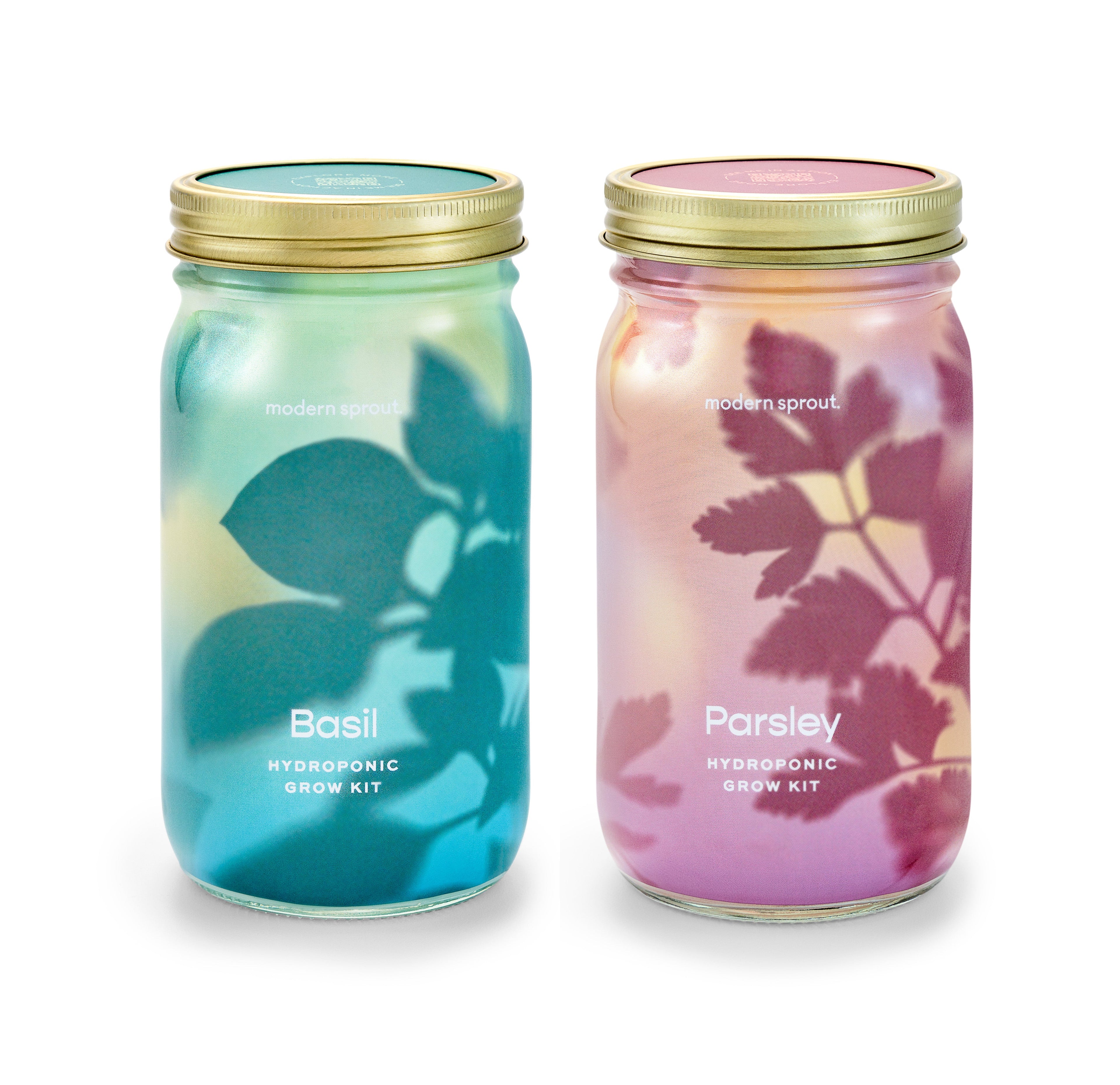 Organic Herb Jars