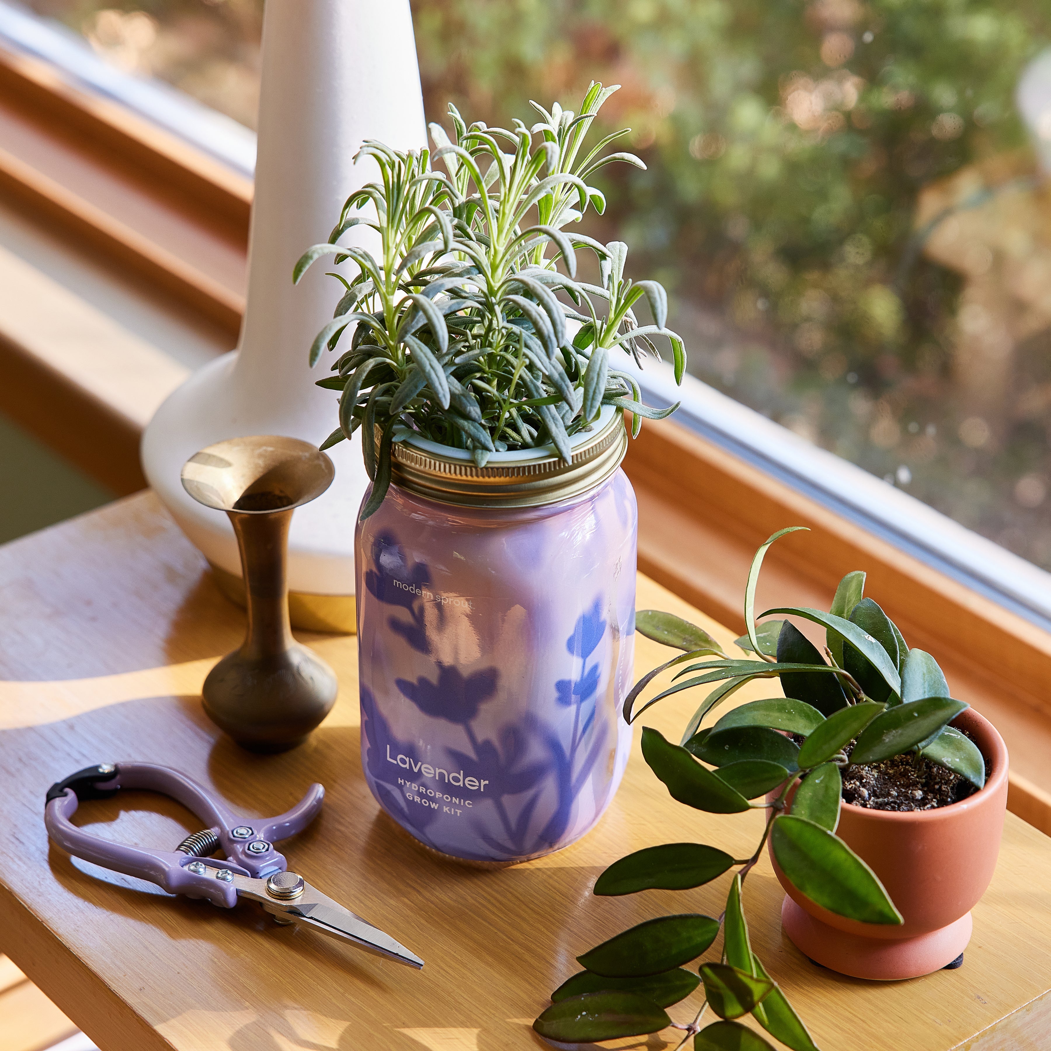 Organic Herb Jars