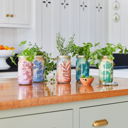 Organic Herb Jars