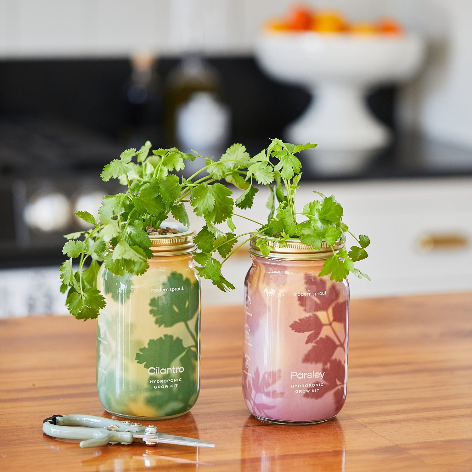 Organic Herb Jars
