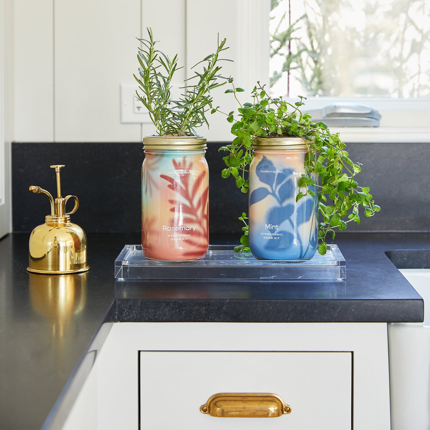 Organic Herb Jars