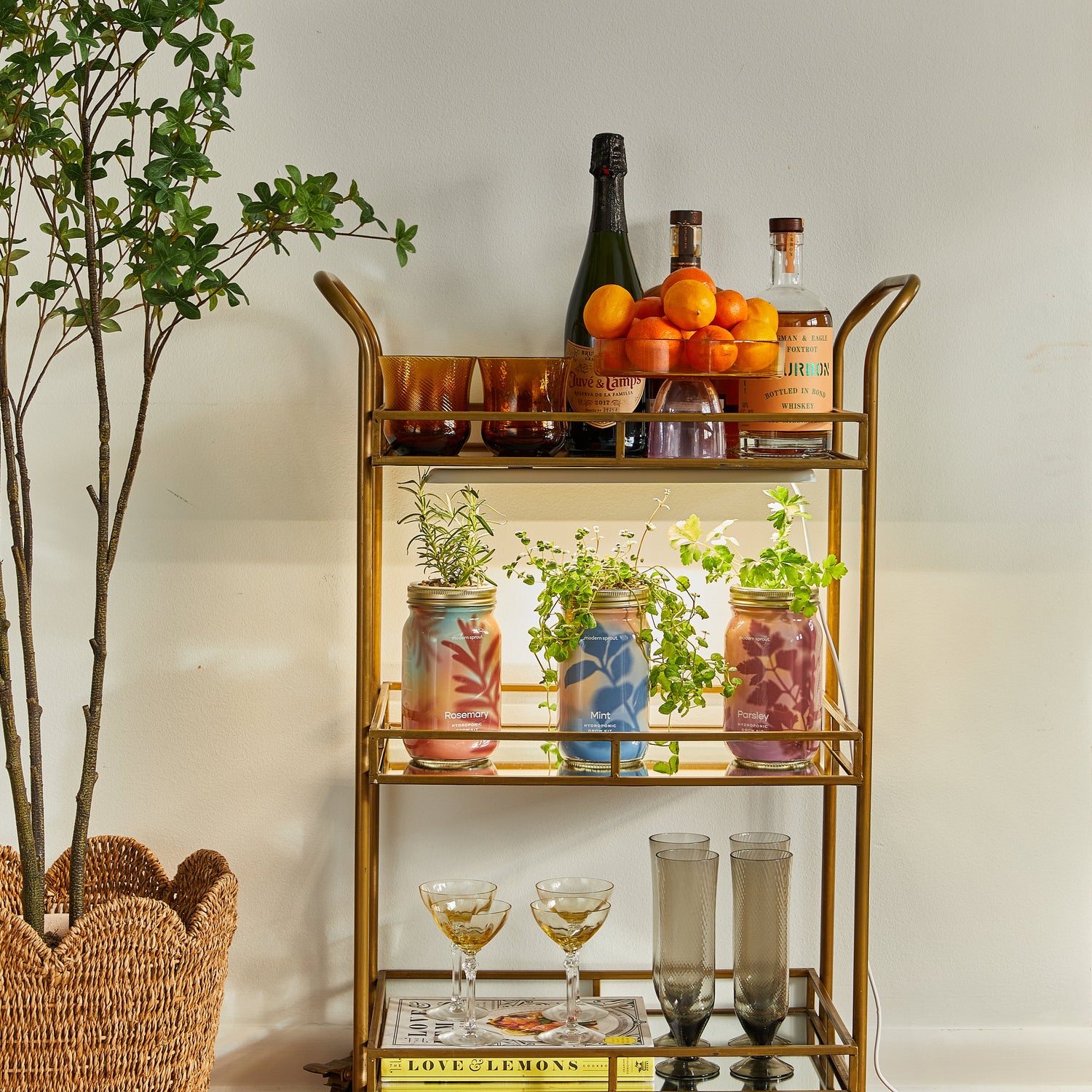Organic Herb Jars