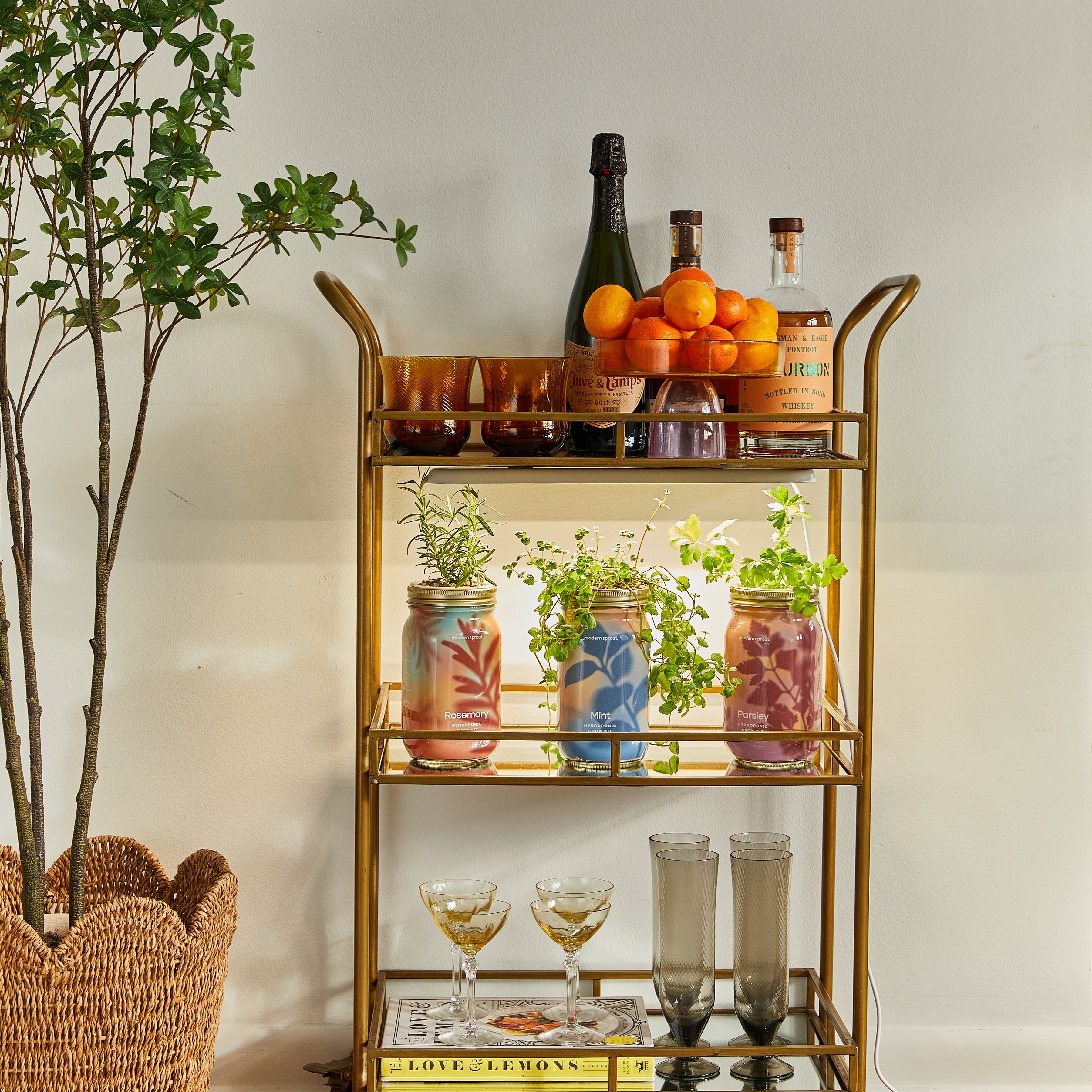 Organic Herb Jars