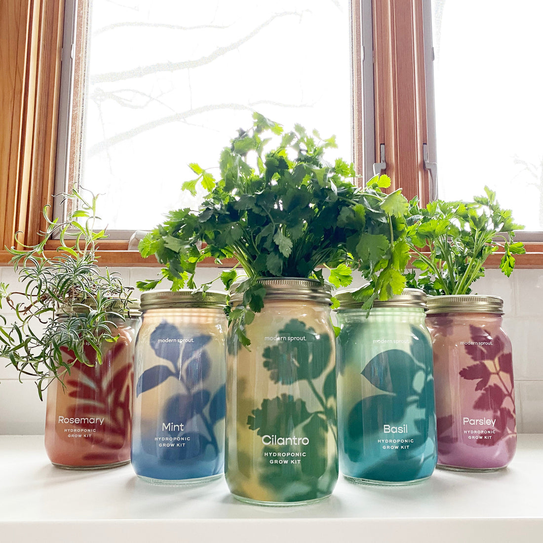 Organic Herb Jars