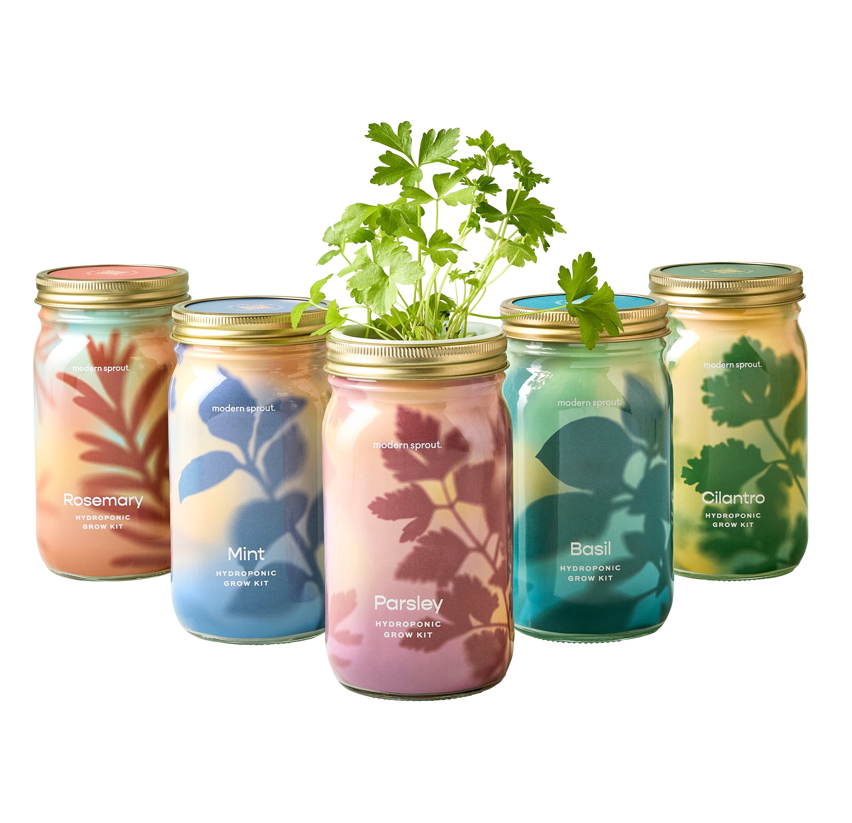 Organic Herb Jars