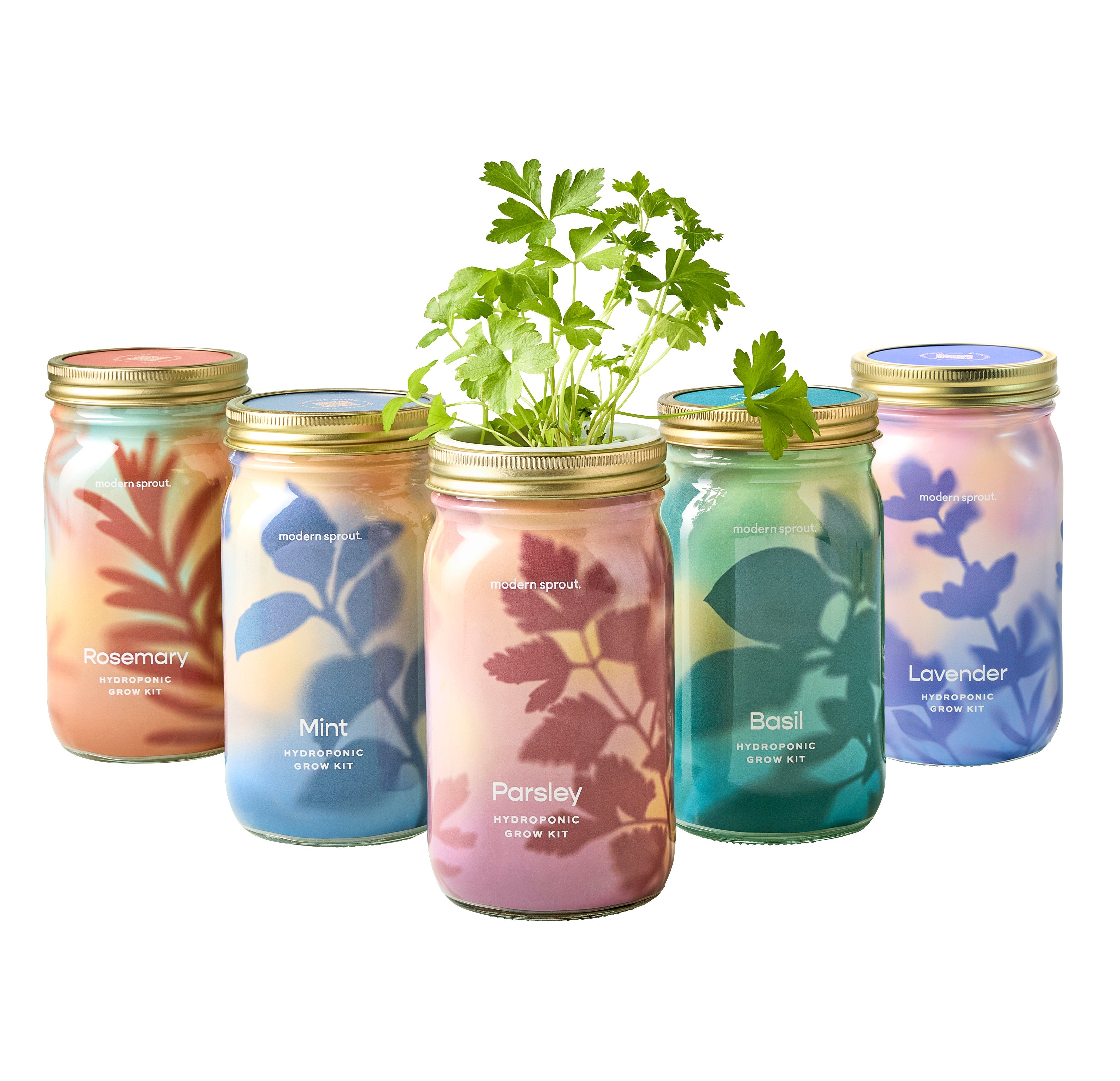 Organic Herb Jars