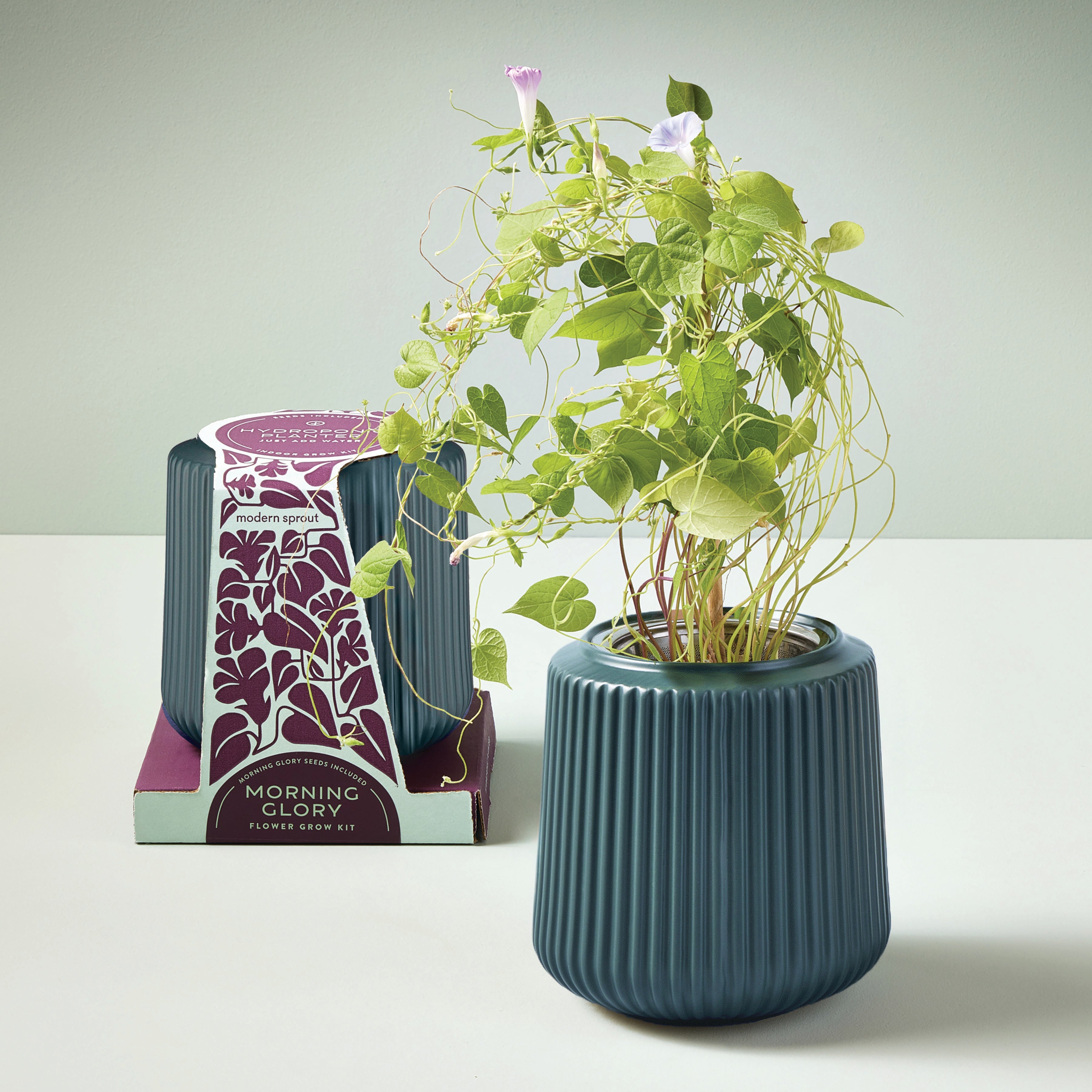 Flower Grow Kits