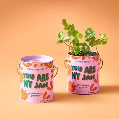 Playful Colors Grow Kits