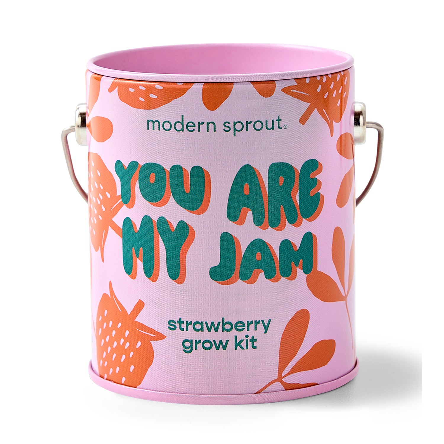 Playful Colors Grow Kits