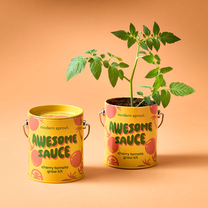Playful Colors Grow Kits