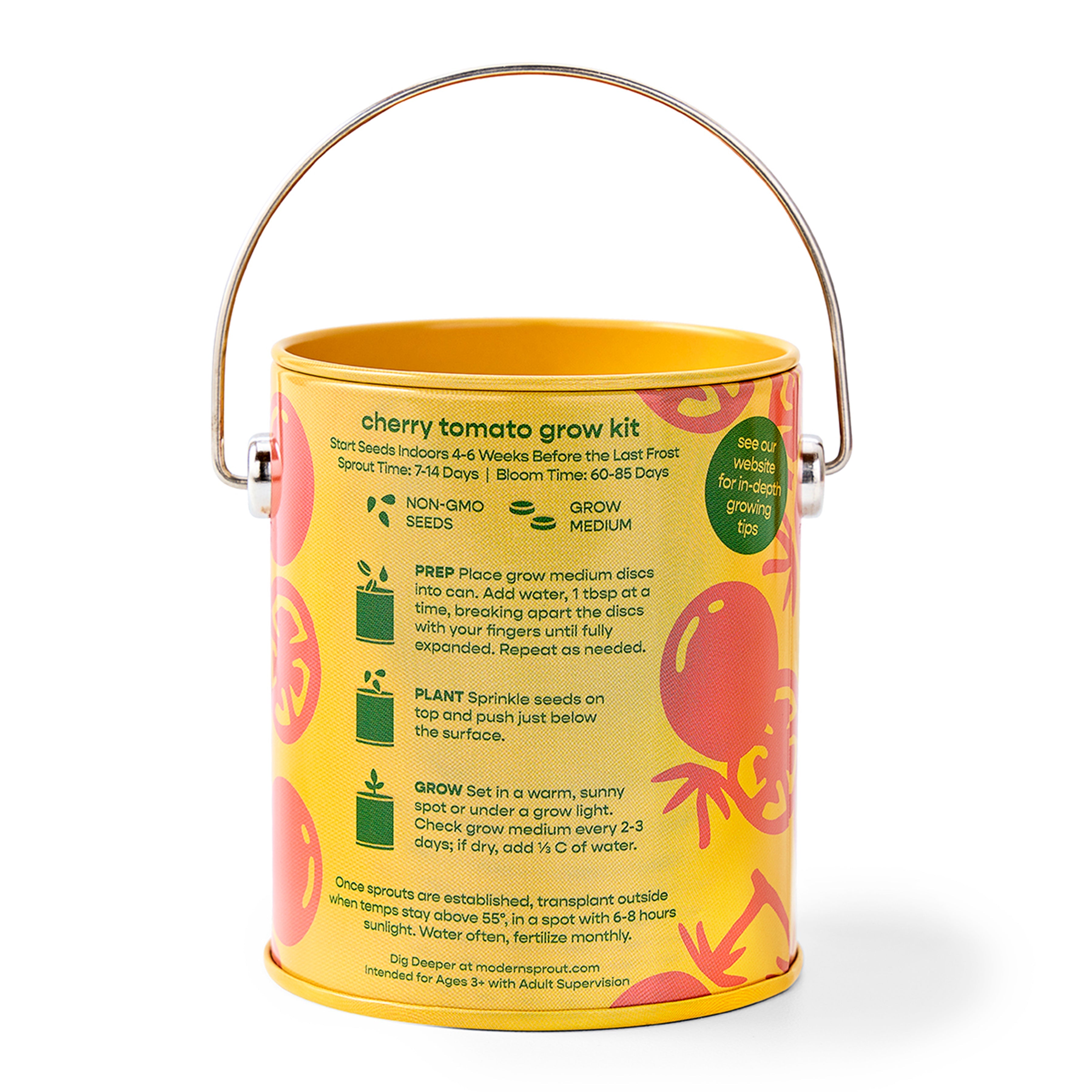 Playful Colors Grow Kits
