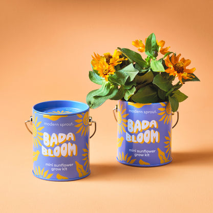Playful Colors Grow Kits