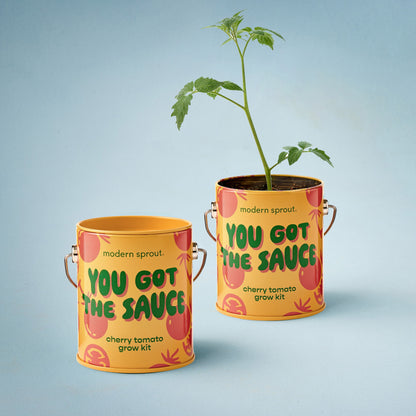 Playful Colors Grow Kits