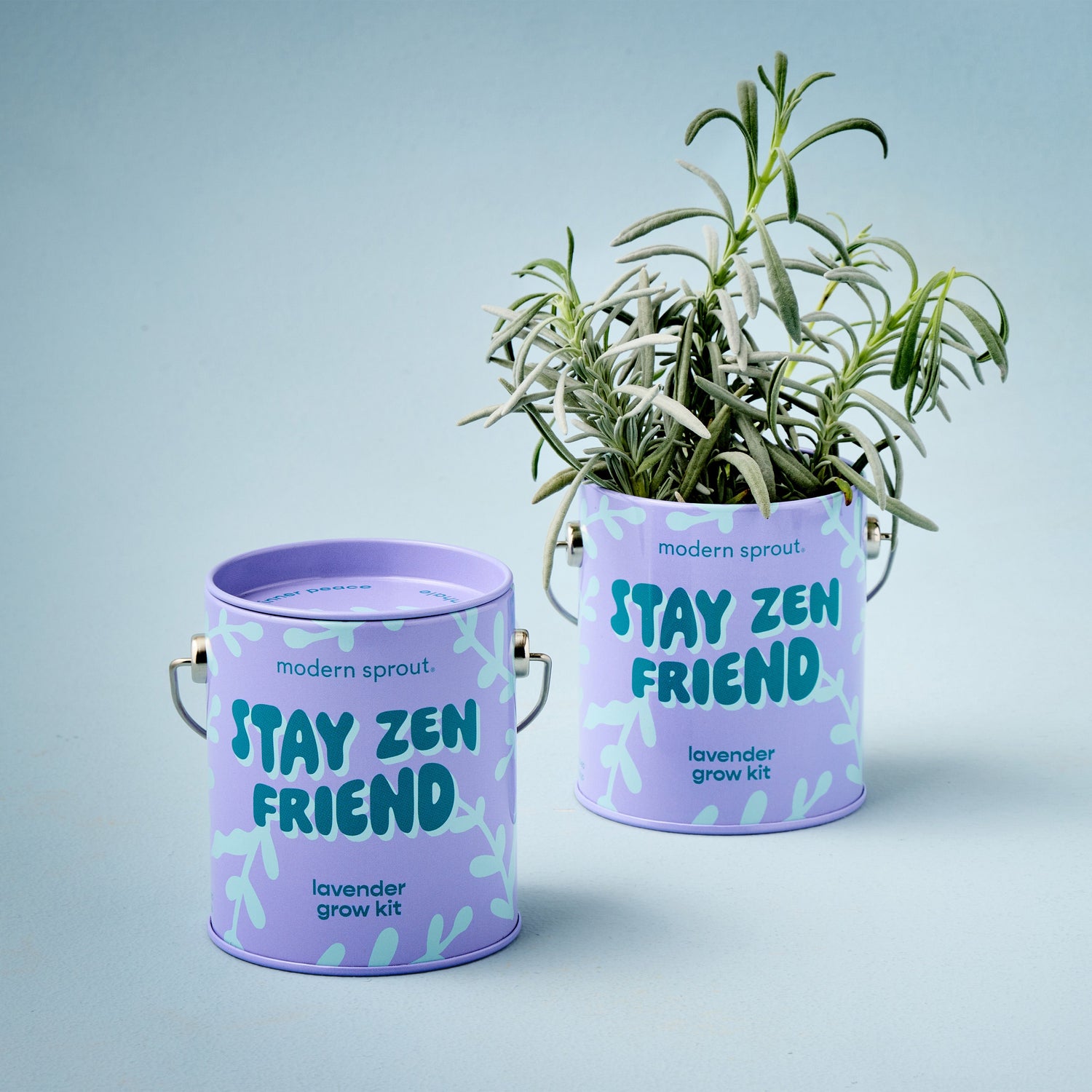 Playful Colors Grow Kits