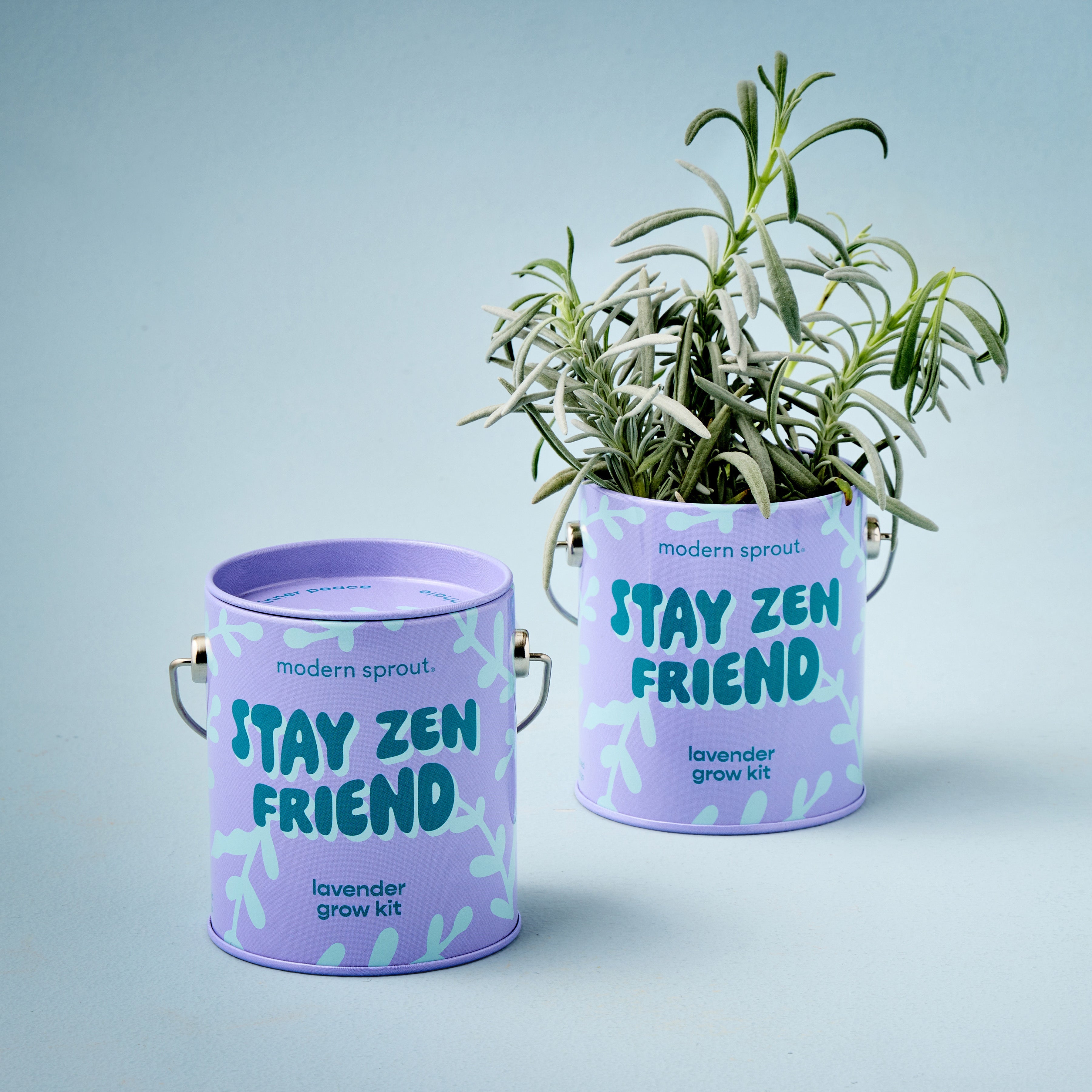 Playful Colors Grow Kits