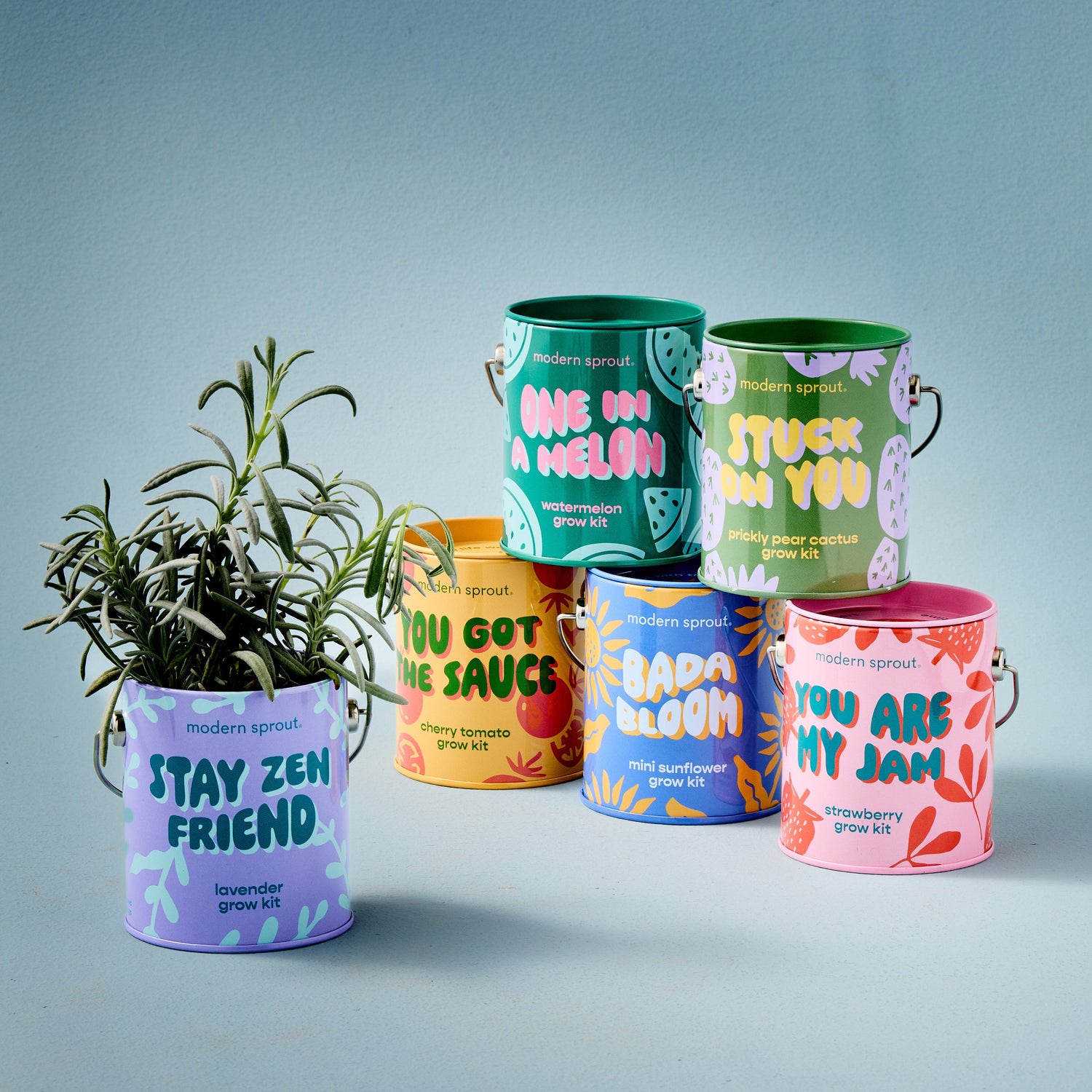 Playful Colors Grow Kits