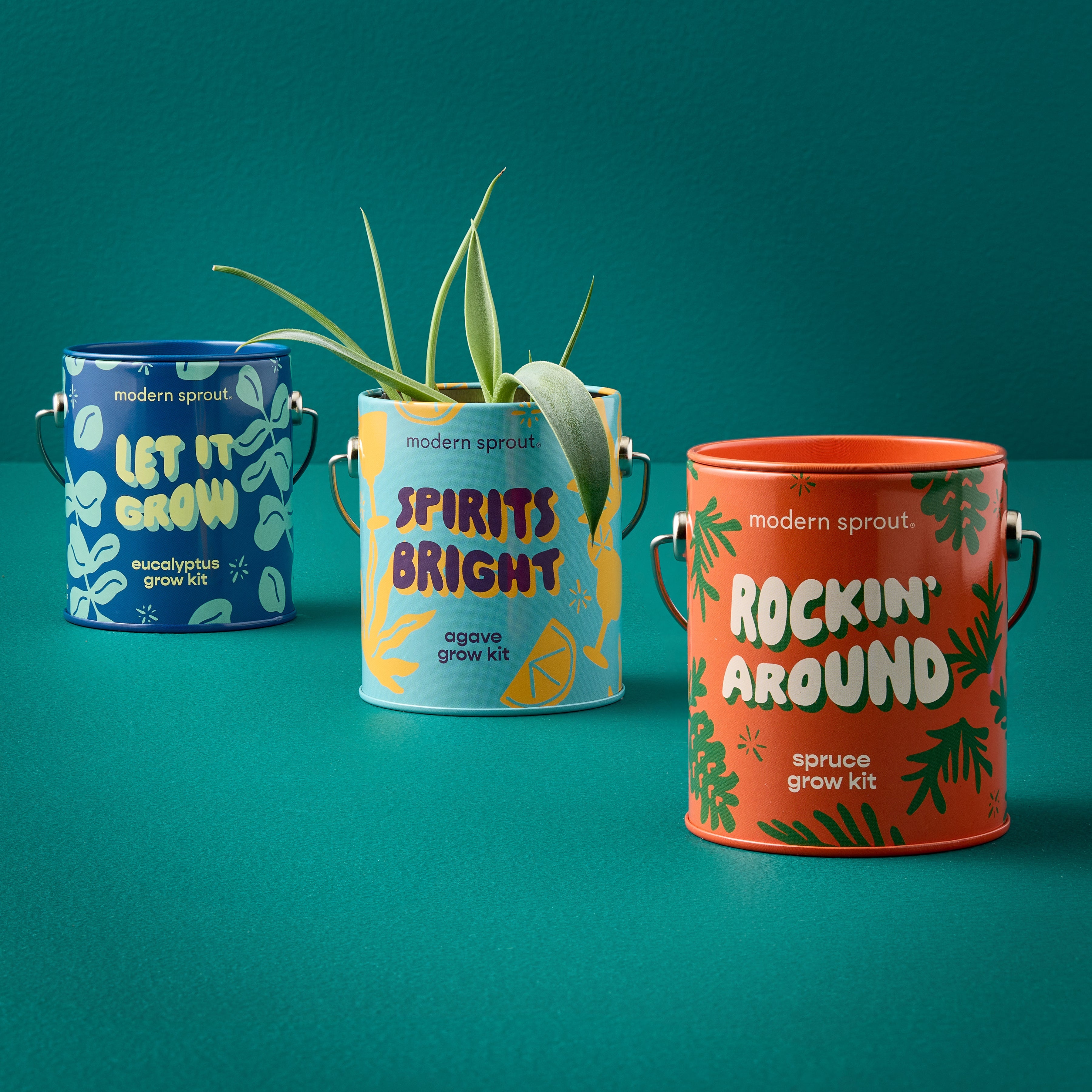 Playful Colors Grow Kits